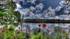river nature Flowers digital art water Plants clouds Trees hdr