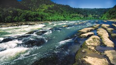 river nature landscape rocks Trees shallow water