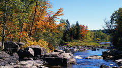 River scene autumn rocks