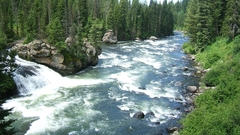 River sheep falls high