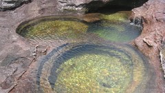 Rivers Crystal River water