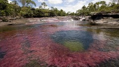 Rivers Crystal River water