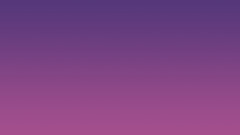 Rmnmd minimal leopard minimalist