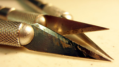 Road The not down across remember xacto hres