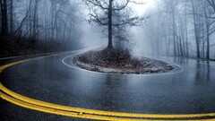 road Trees wet mist hairpin turns asphalt
