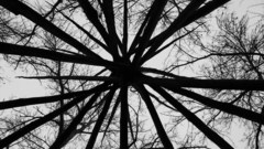 Road trip yeah because