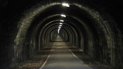 Roads autumn leaves lights