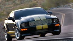 Roads GT 2006 Ford Shelby