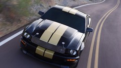 Roads GT 2006 muscle cars Ford Shelby