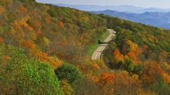 Roads nature Landscapes