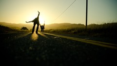 Roads sunlight rollerskates