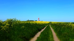 Roads Trails fields skies
