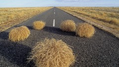 Roads tumbleweeds