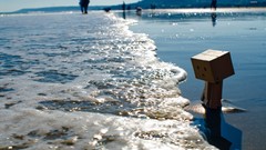 Robot cardboard Beaches shore danboard