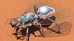 Robot insects