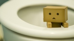 Robots cardboard danboard toilets