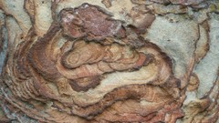 Rock formations garden of the gods
