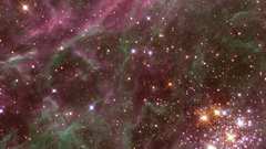 Rock tarantula universe Space