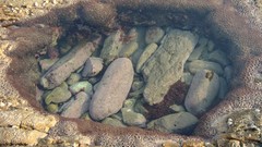 Rockpool Clear