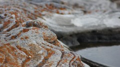 Rocks Beaches swimming pools