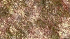 Rocks brown Textures