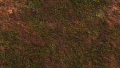 Rocks brown Textures