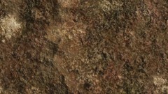 Rocks brown Textures