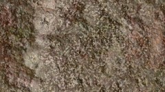 Rocks brown Textures