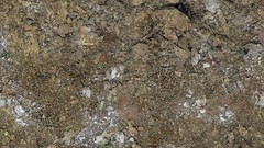 Rocks brown Textures dirt