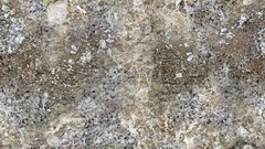 Rocks brown Textures dirt