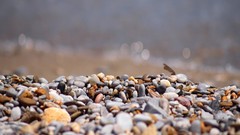 Rocks depth of field