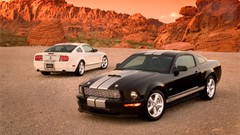 Rocks GT muscle cars Ford Shelby