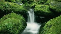 Rocks moss long exposure