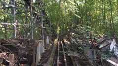 Roller coasters abandoned