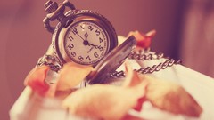 Romance time roses clocks