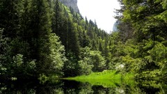 Romania Bucegi Mountains