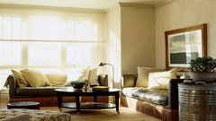 Room Bonsai architecture bonsai tree