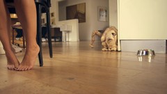 Room feet legs alien creepy