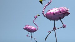 Room flamingos