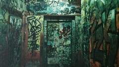 Room graffiti grain doors