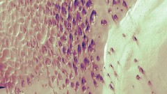 Room Mars dunes duel