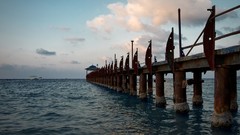 Room ocean Miami Alex