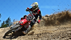 Roost unit dan reardon