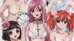 Rosario to vampire woman
