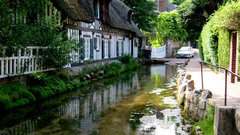 Rose France high normandy Resolution veules