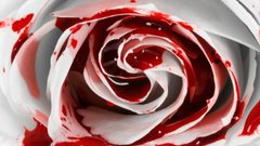 Rose here and fell asleep woke