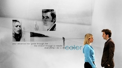 Rose Tyler david tennant