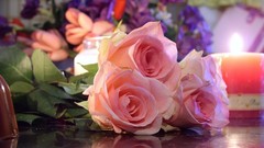 Roses