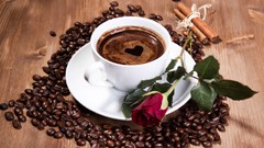 Roses brown Coffee Beans cups drinking beans Coffee Cream 