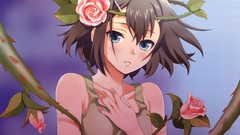 Roses kinoshita hideyoshi anime